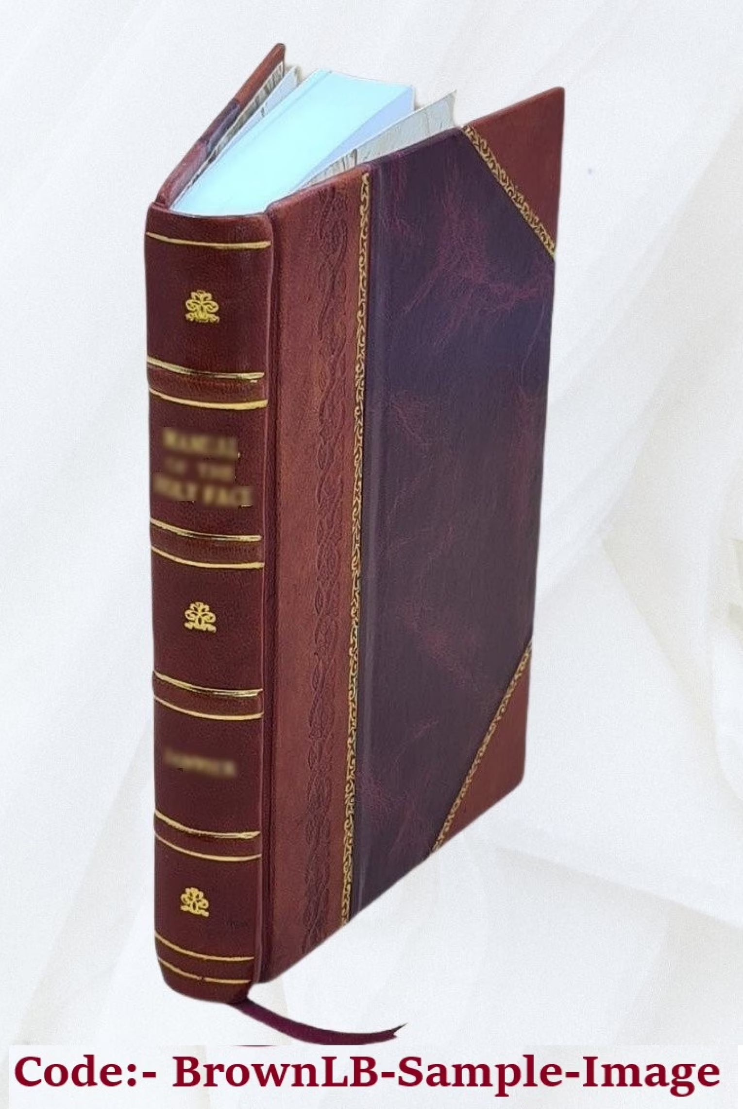 Leather Bound Book S68801
