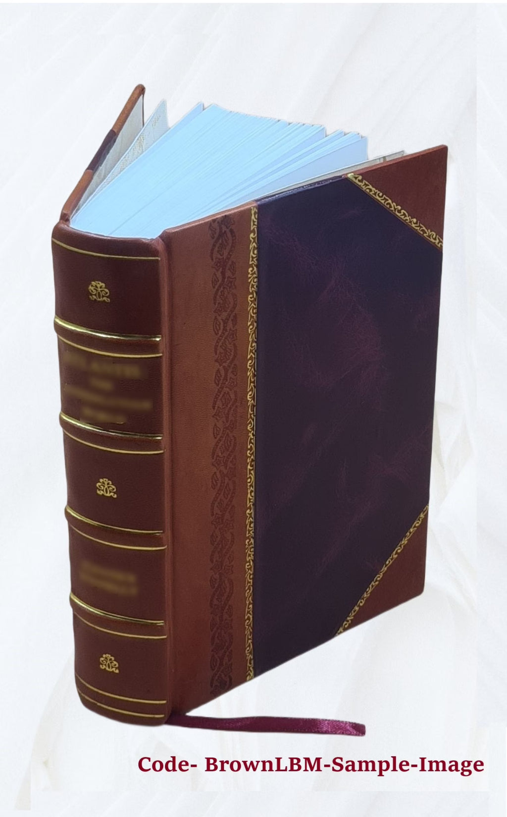 Leather Bound Book S6026
