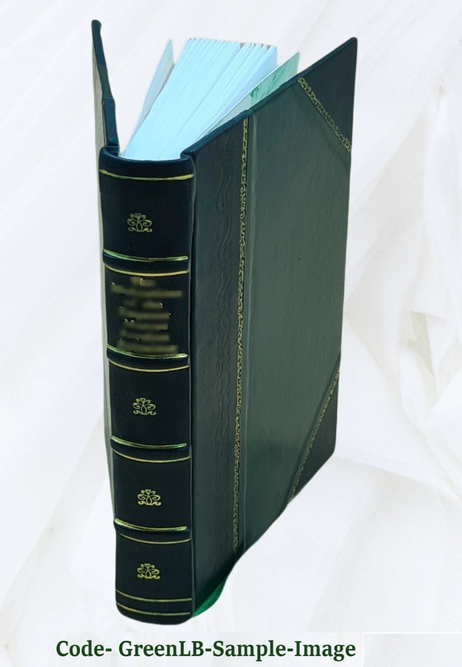 Leather Bound Book L976