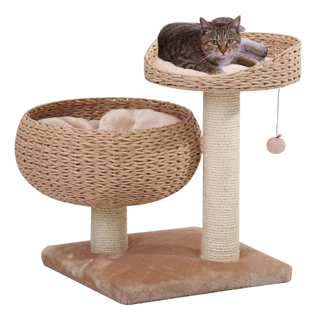 Cat Perch U693