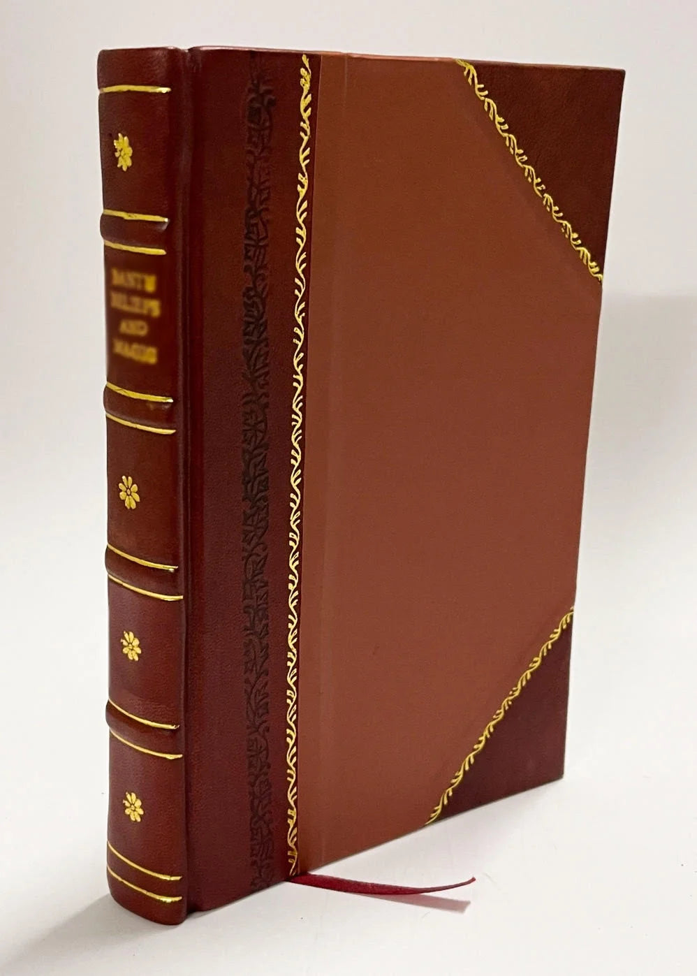 Leather Bound Scientific Paper P422