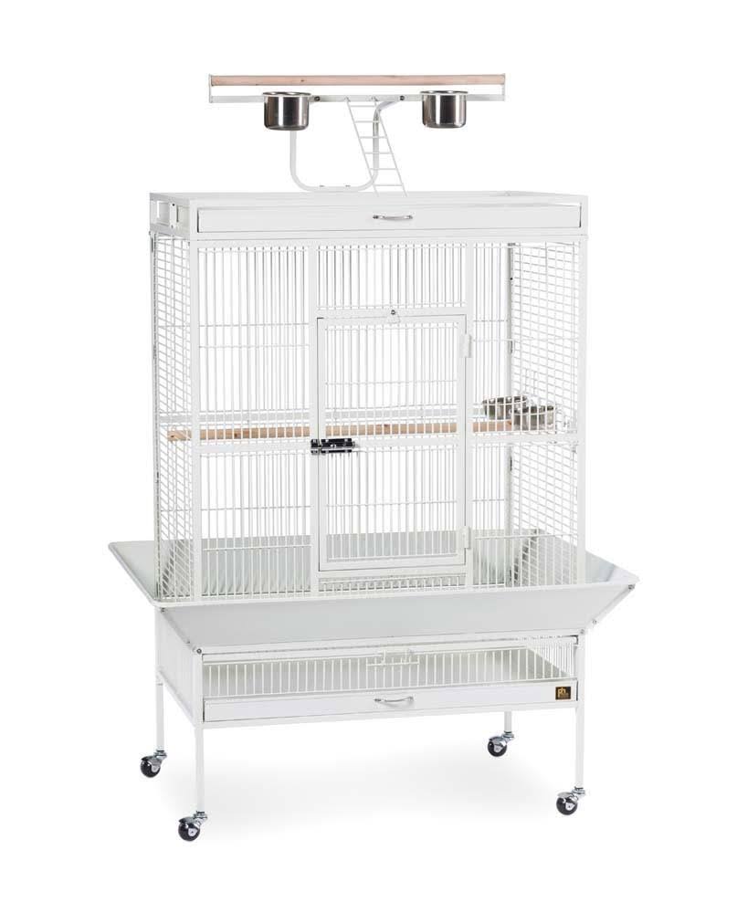 Black Wrought Iron Parrot Cage B3888