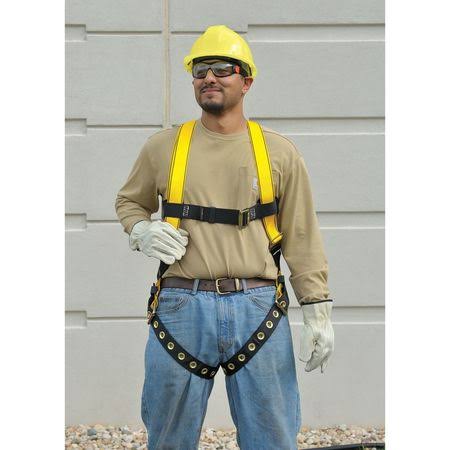 Fall Protection Kit, Standard, 310 lb. S5164