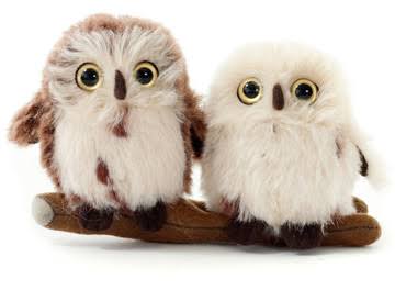 Owl Set Q28880