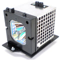 TV Assembly with Cage and Bulb T5857