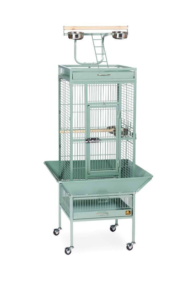 Black Wrought Iron Parrot Cage B3888