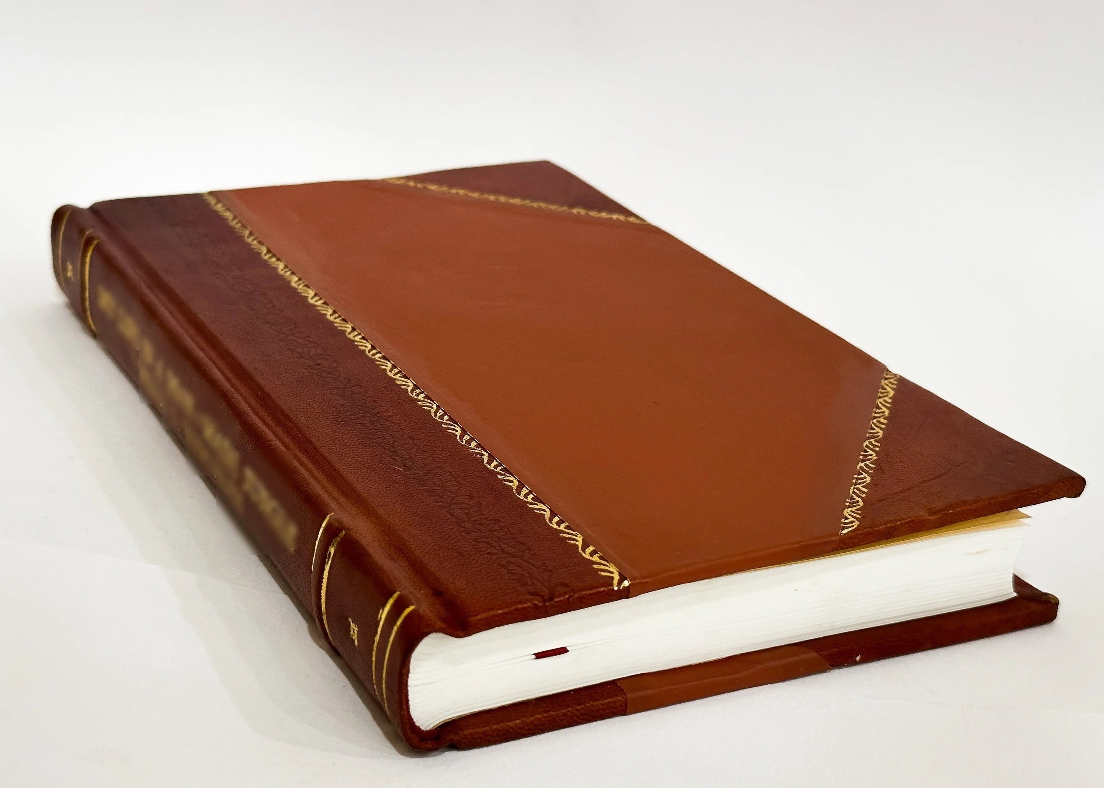 Leather Bound Book G5563
