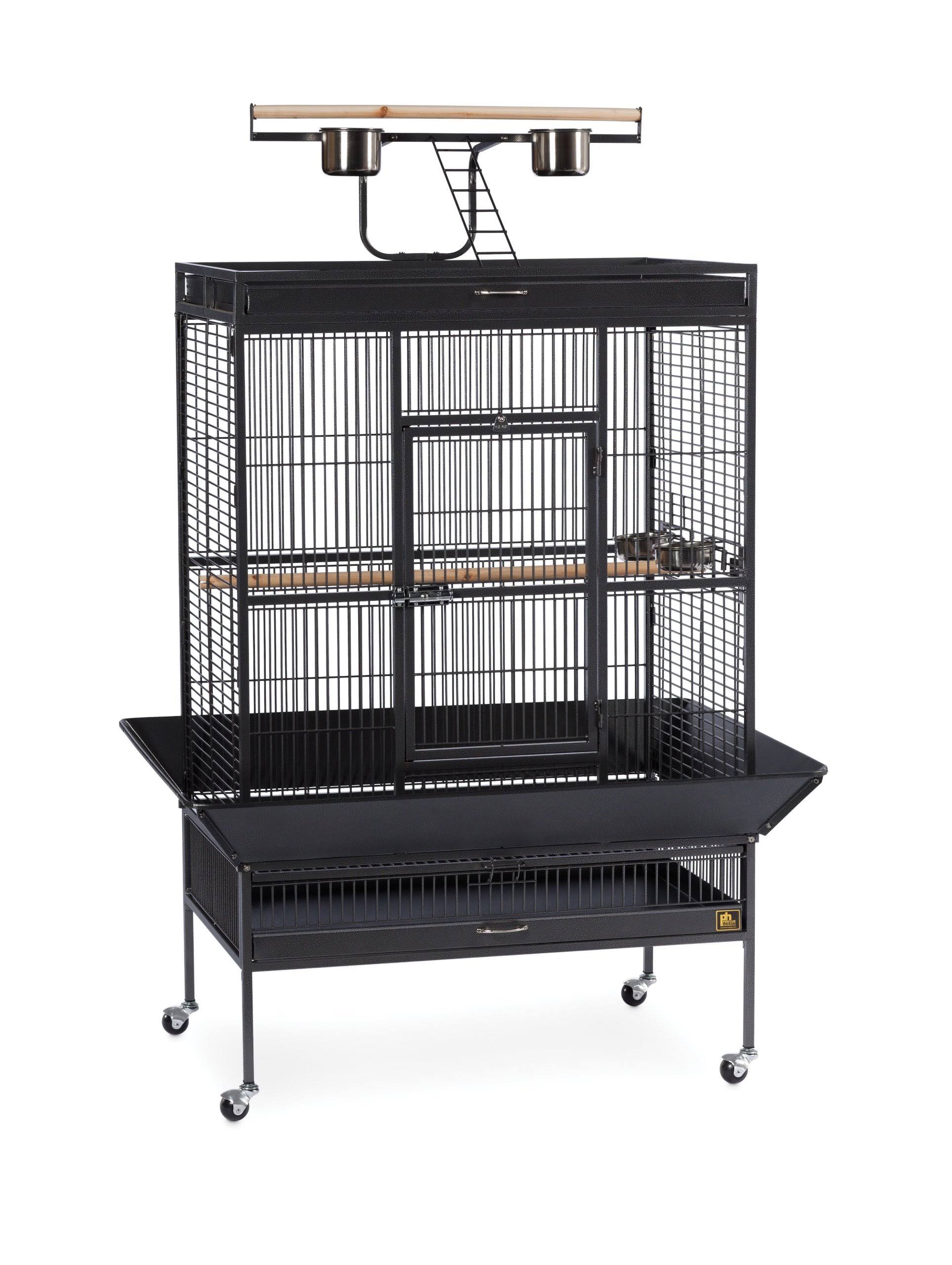 Black Wrought Iron Parrot Cage B3888