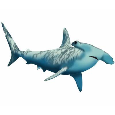 Hammerhead Shark Ocean Animals Wall Decal H64940