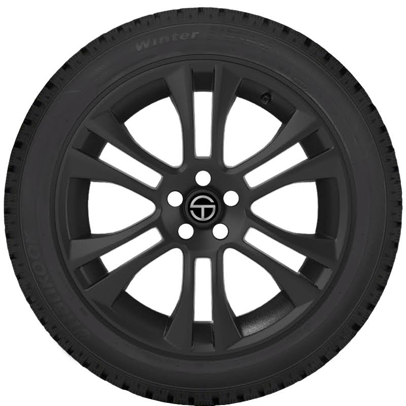 225/50R18 Winter Tire V9143