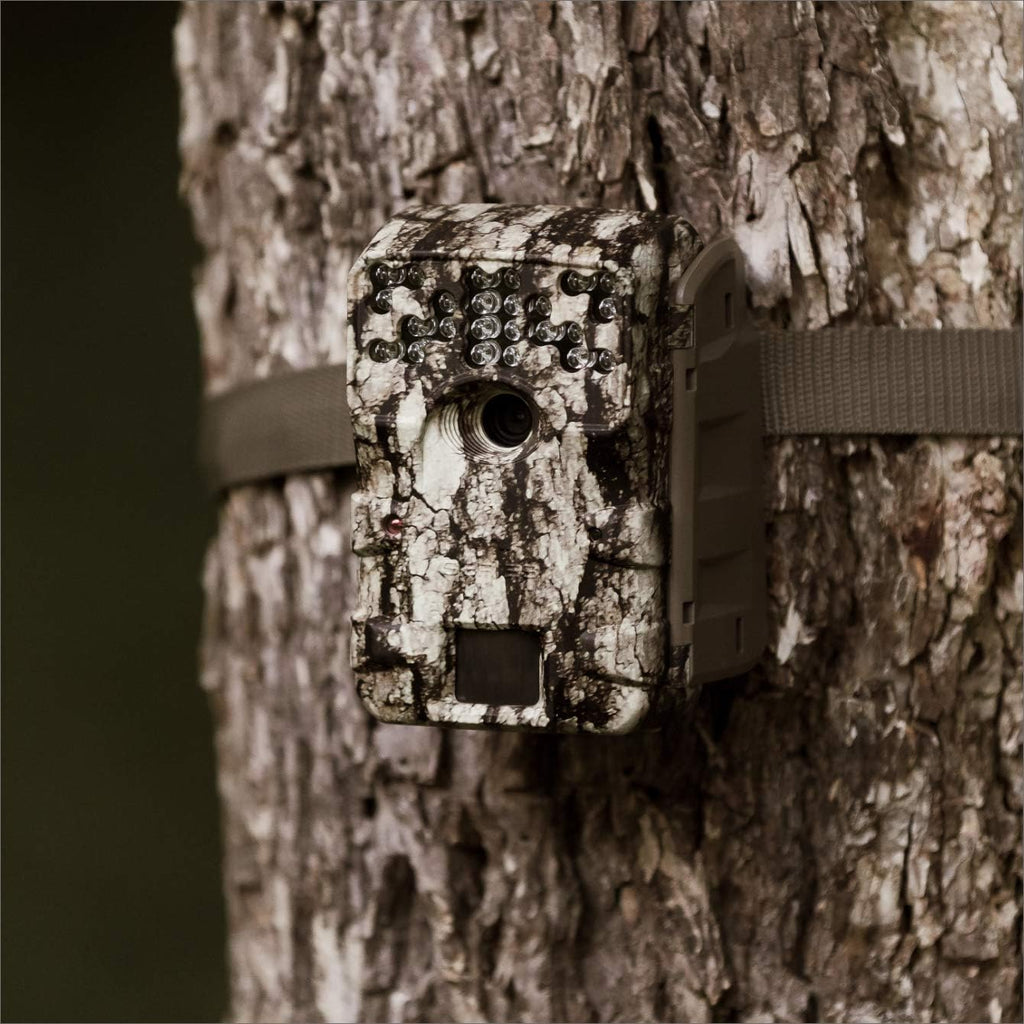 Trail Camera Bundle with Batteries and 16 MB SD Card, Pack of 2 M5780