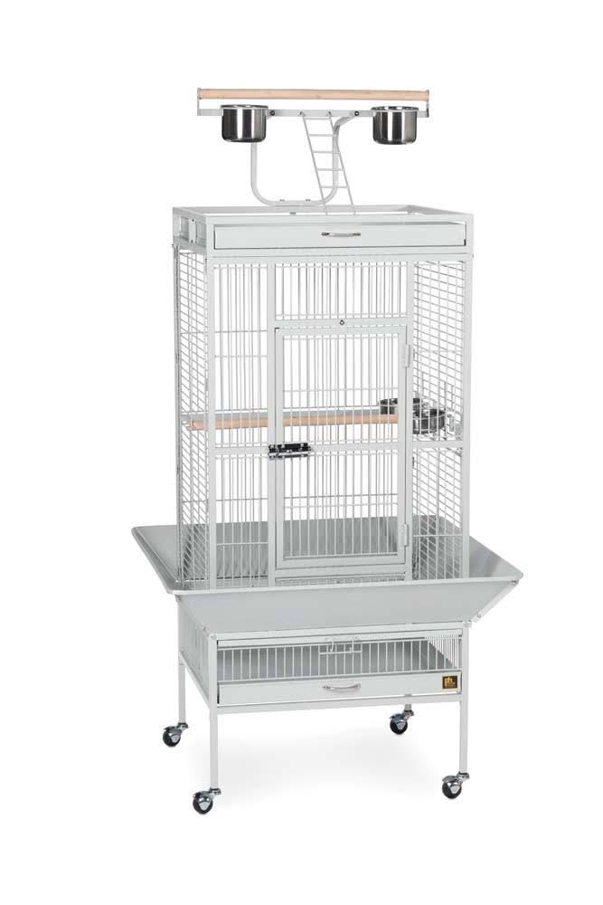 Black Wrought Iron Parrot Cage B3888