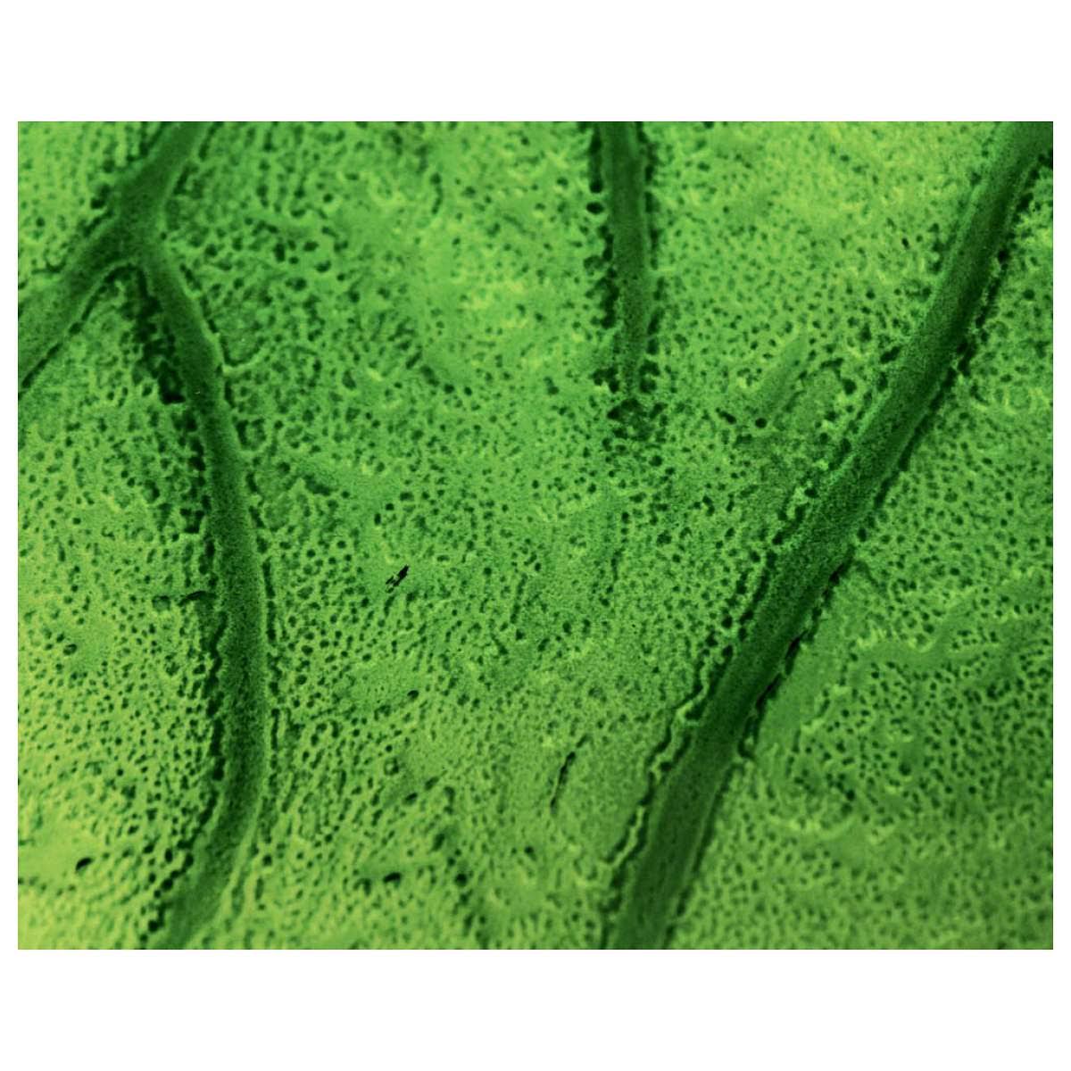 Green Coloured Glass Leaf Vessel Sink X87843