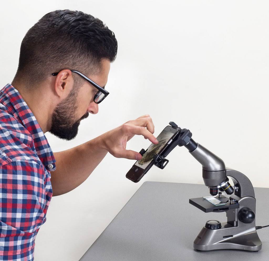 Biological Microscope O952