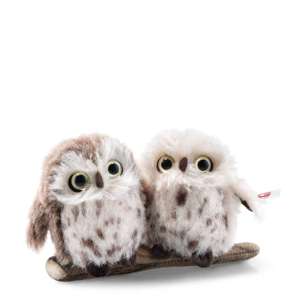 Owl Set Q28880