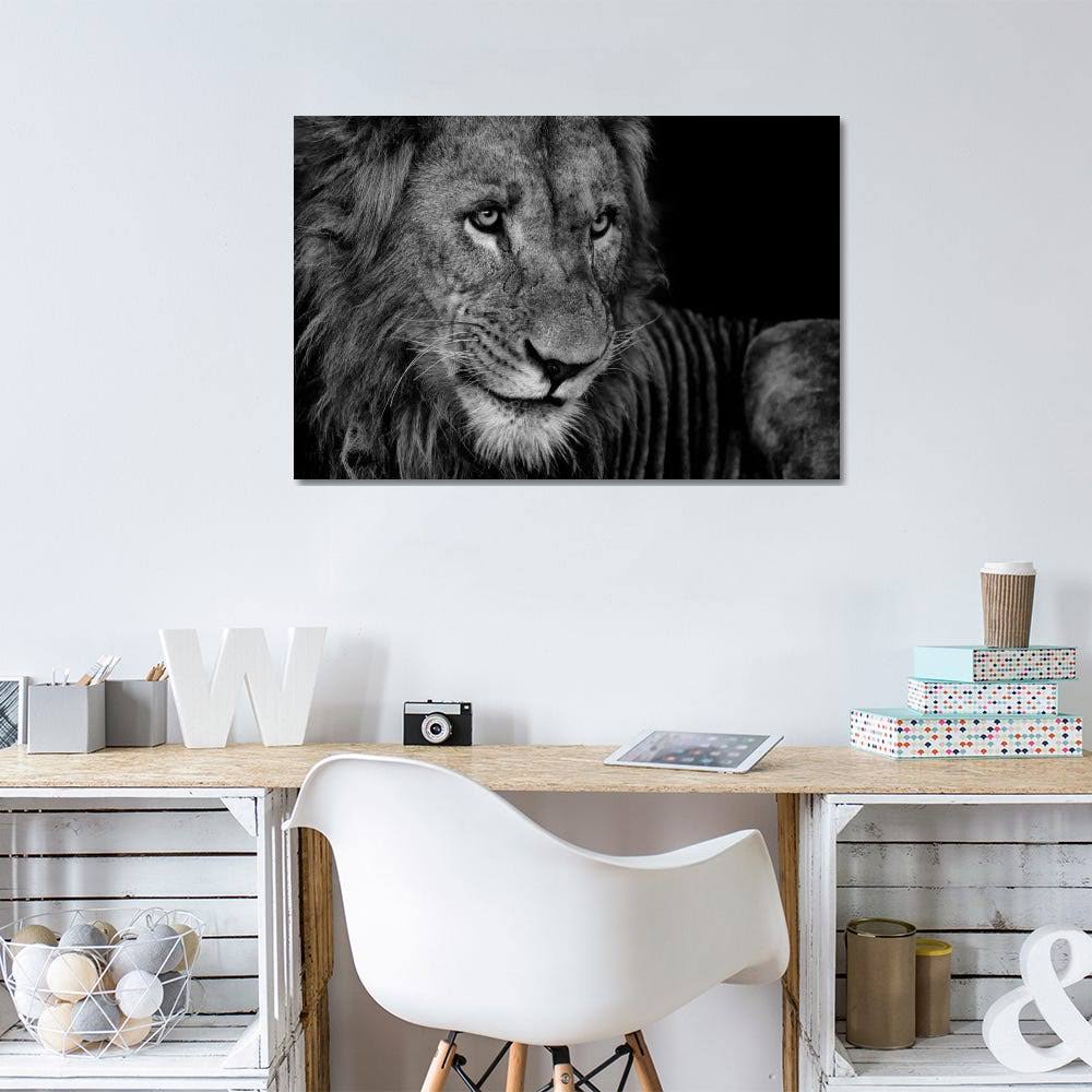 Lion Rest Print on Canvas Art B936275