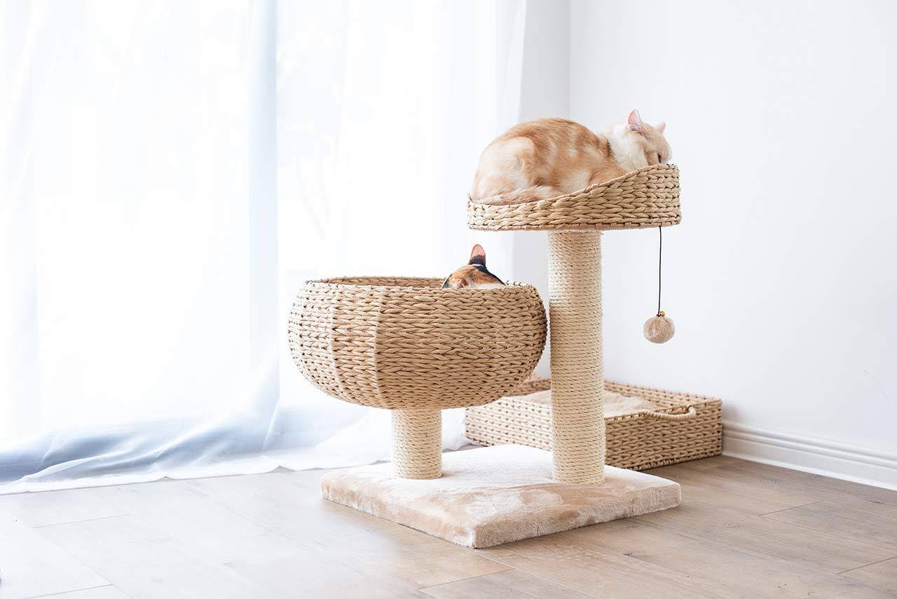 Cat Perch U693
