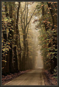 Framed Giclee Canvas Art C66948