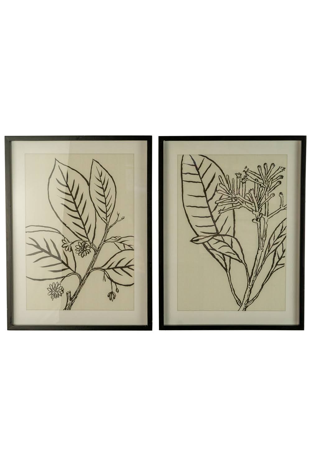 Set of Two Framed Black Leaves Prints Under Glass R168