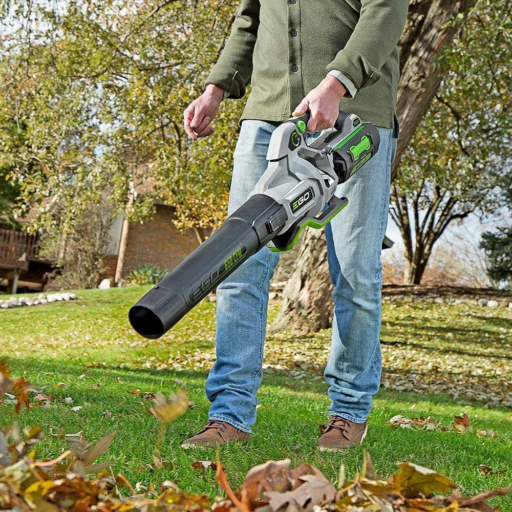 650 CFM Handheld Blower S265099