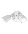 Double LED Spot Light N572