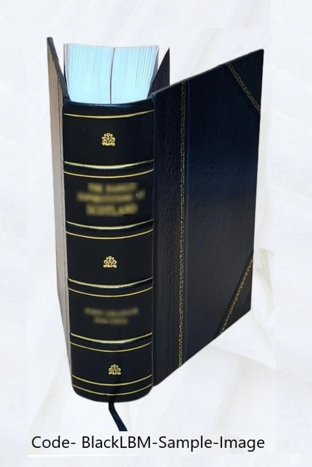 Leather Bound Book S6026