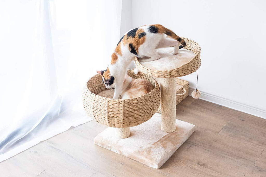 Cat Perch U693