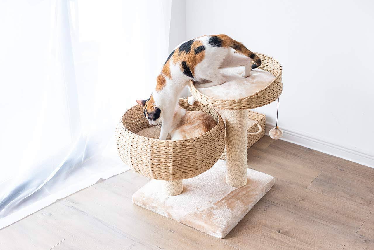 Cat Perch U693