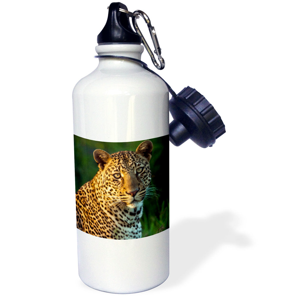 Water Bottle, 21-ounce E650