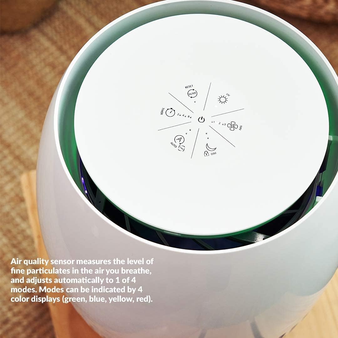 Air Purifier with 4-Stage HEPA Filter R8599