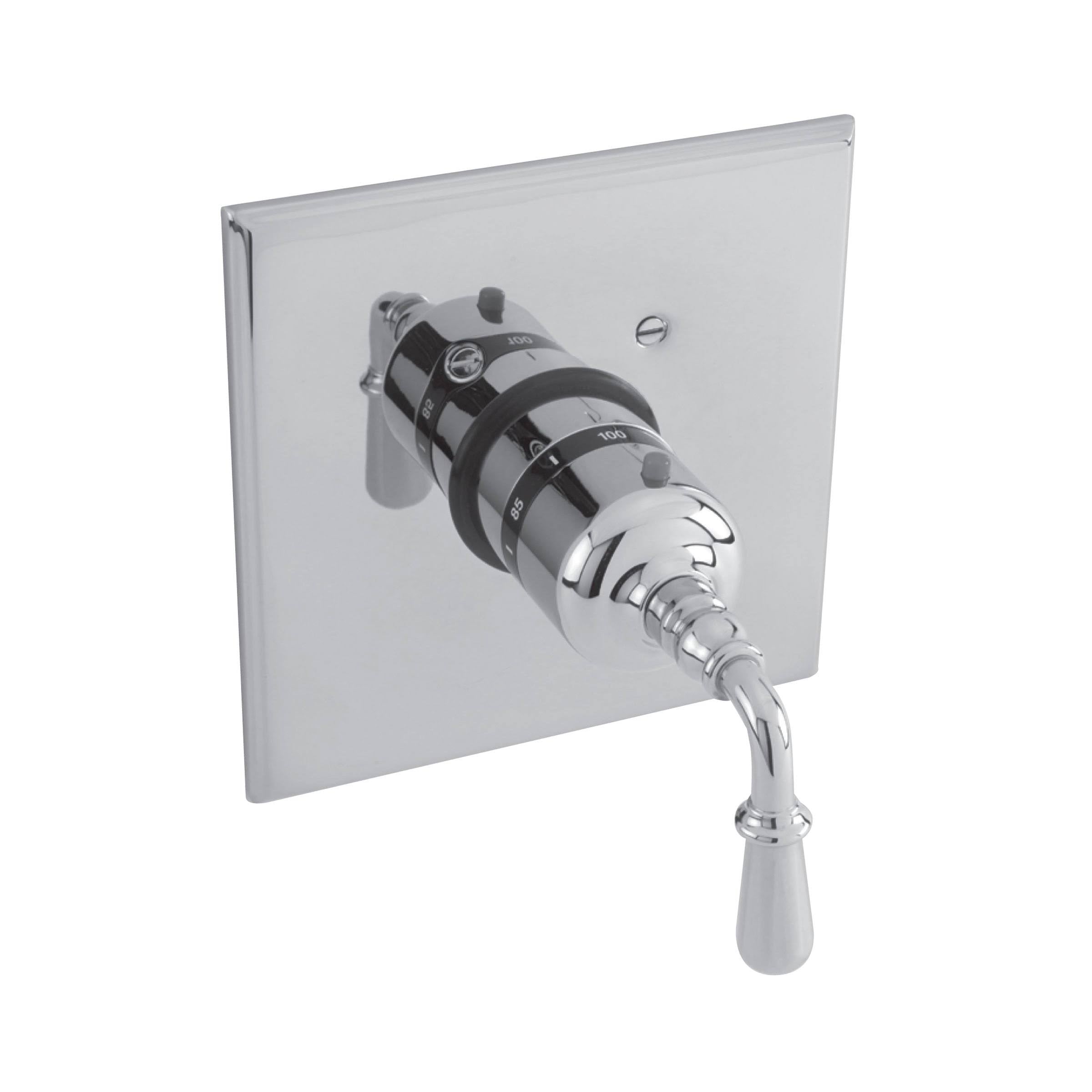 Thermostatic Trim Plate with Handle S474216
