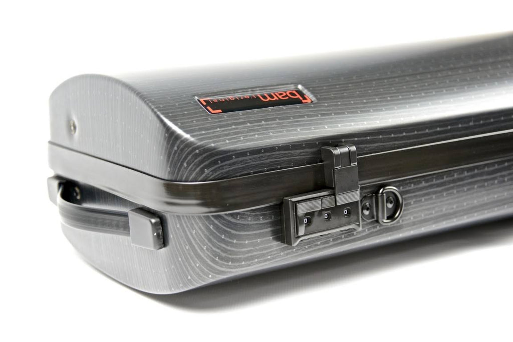 Oblong Violin Case Black M581564