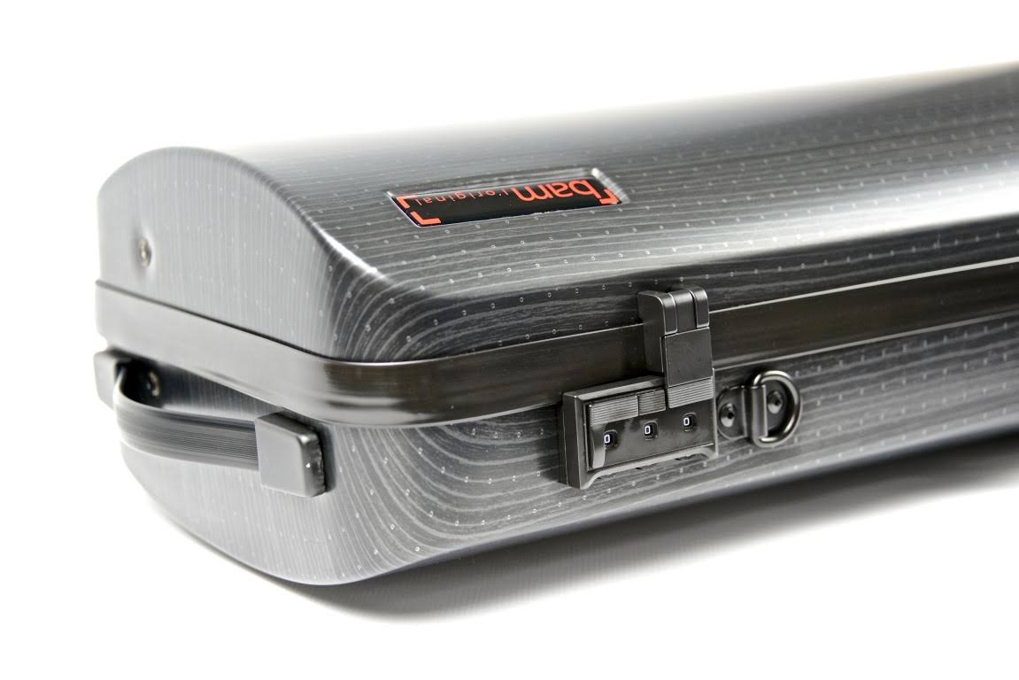Oblong Violin Case Black M581564