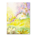 Canvas Art D5434