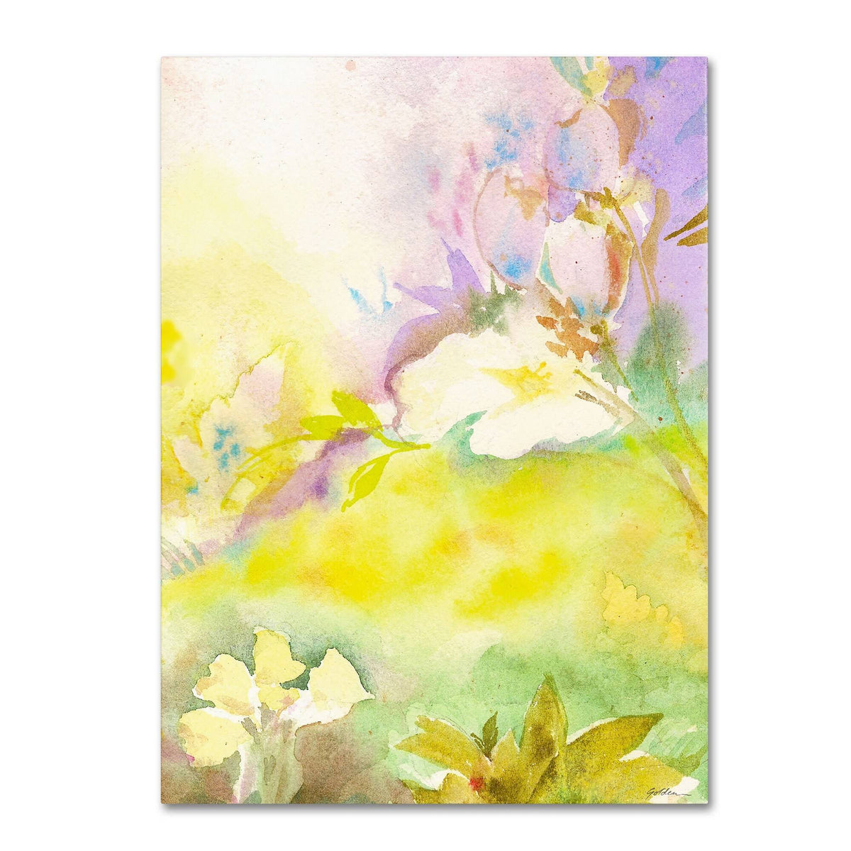 Canvas Art D5434