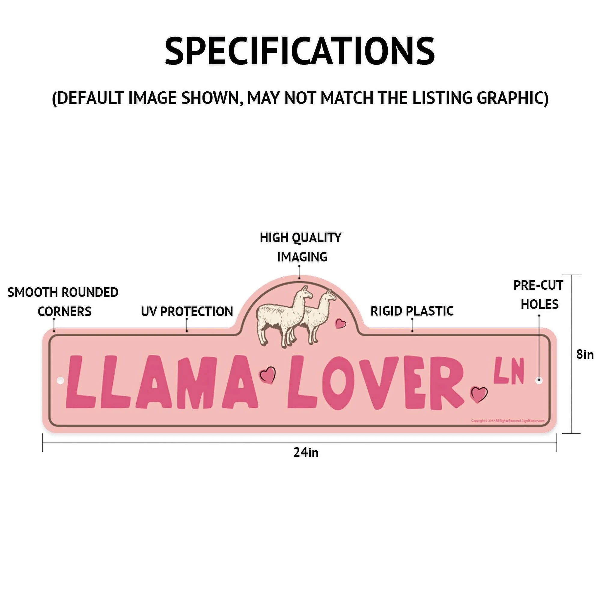 Skiing Skier Snowboarder Décor Sign L7921
