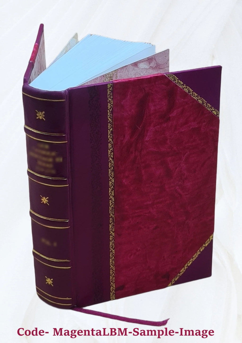 Leather Bound Book S6026