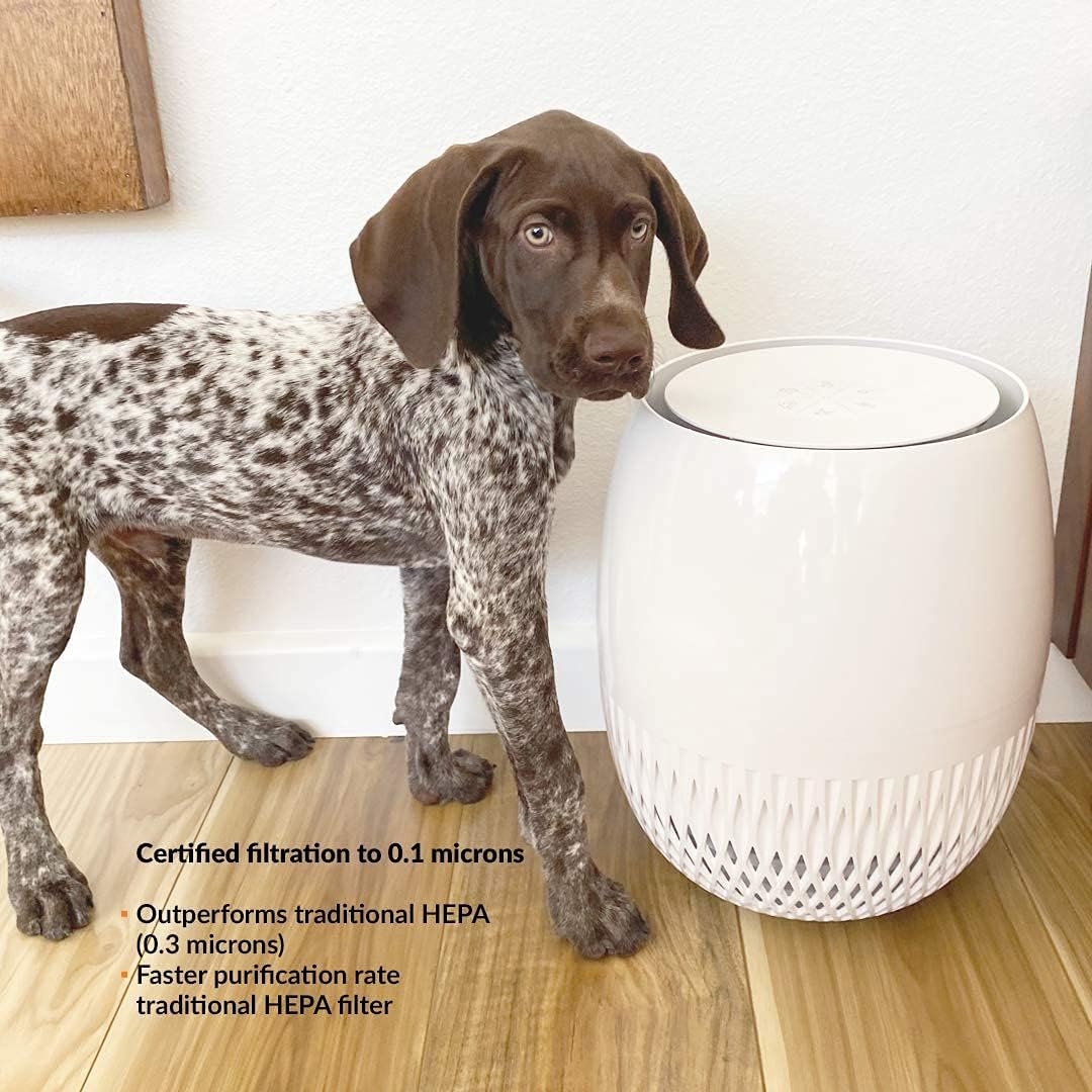 Air Purifier with 4-Stage HEPA Filter R8599